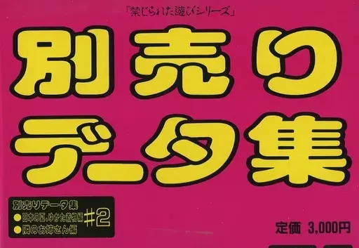 あっぷるくらぶ別売りデータ集#2日本の夏ゆかた着物編 隣のお姉さん編｜PC-9801｜フェアリーテール
